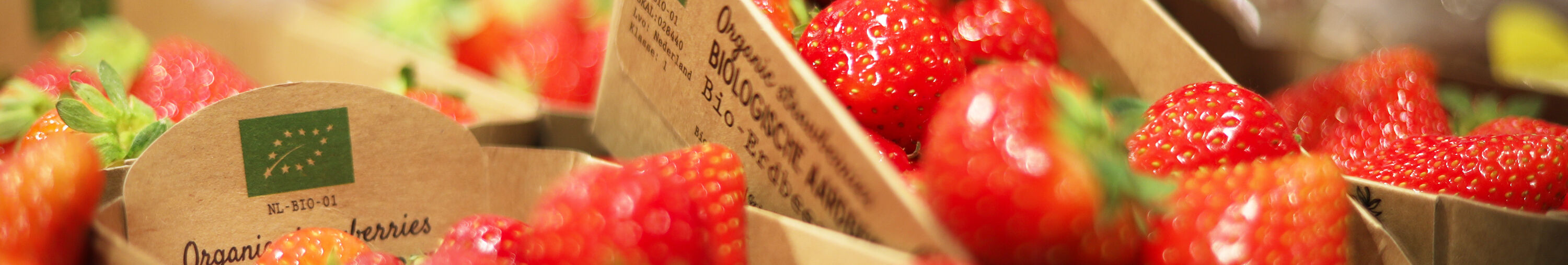 Aardbeien bio small