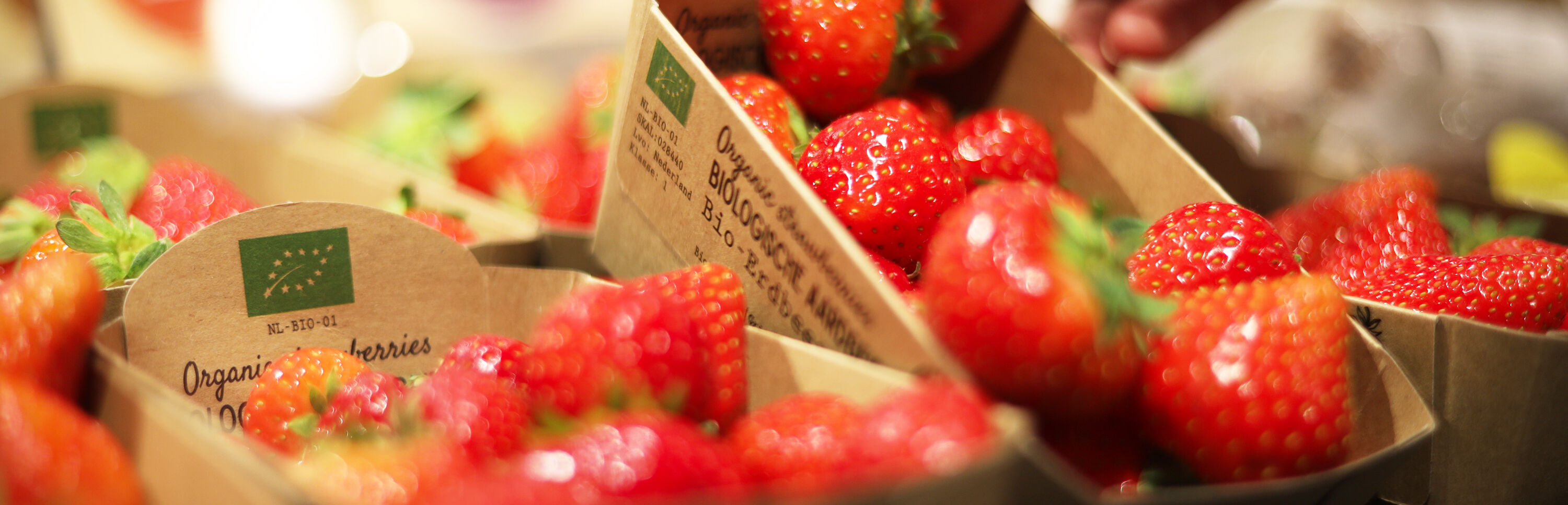 Aardbeien bio small